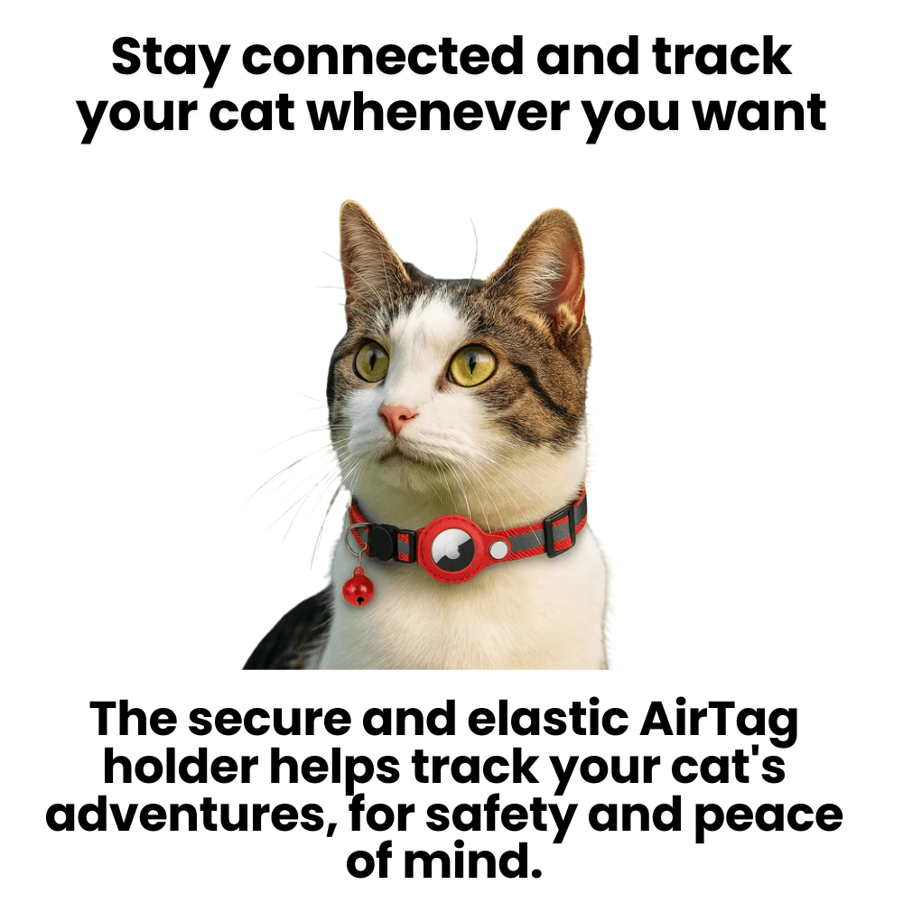 Lisslune | FELITRACK – Cat GPS Tracker Collar with Reflective Design