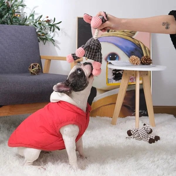 Lisslune | Pet Soft Toy
