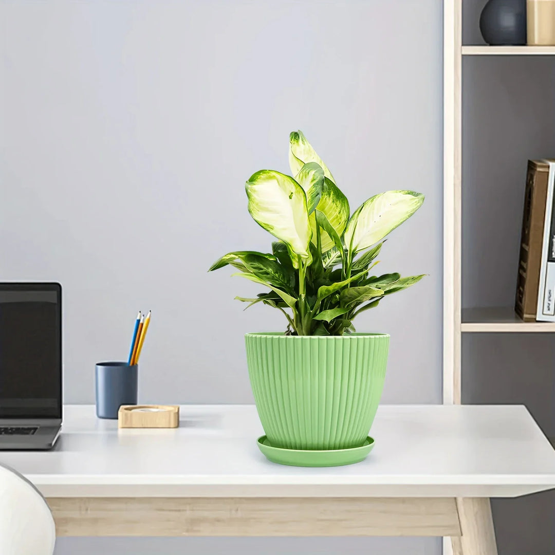 Lisslune | Flower pot with groove structure and saucer – Sturdy plastic pot for plants