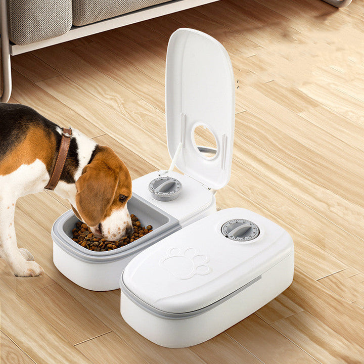Lisslune | 2-in-1 Gravity Pet Feeder - Eco-Friendly & Practical