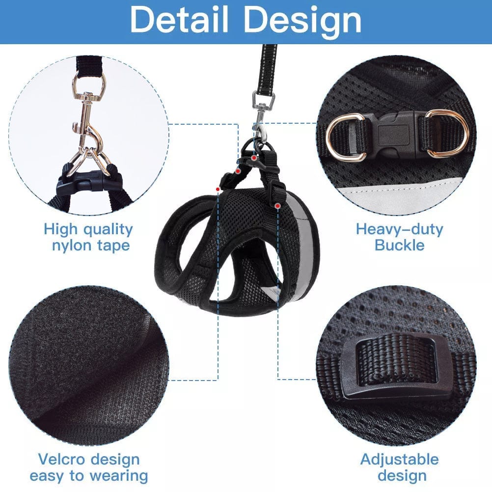 Lisslune | Cat collar and leash