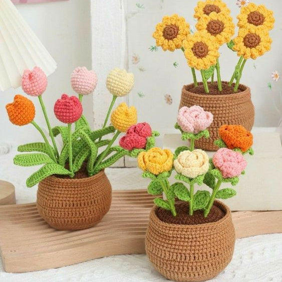 Lisslune | BloomCraft - Decorative flower pots for the elegance of your home