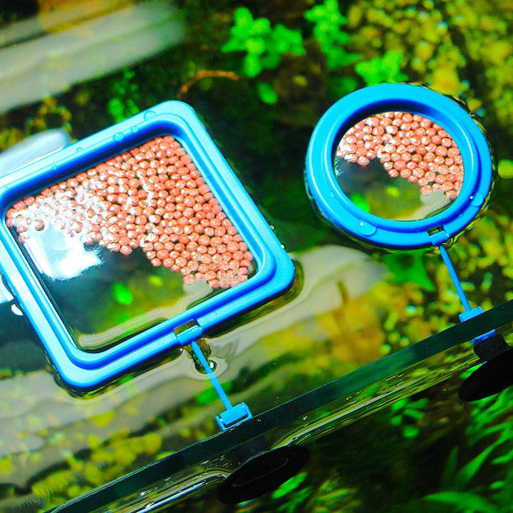 Lisslune | Aquarium feeding ring