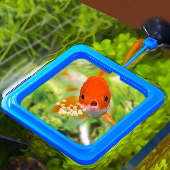 Lisslune | Aquarium feeding ring
