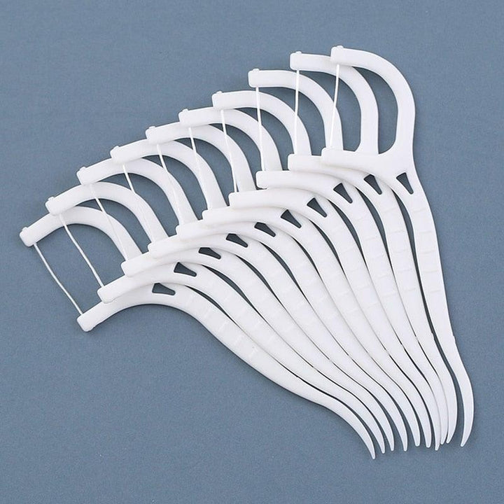 Lisslune | Dental Floss Picks