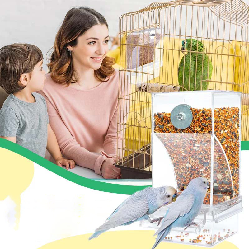 Lisslune | Automatic transparent bird feeder without spills