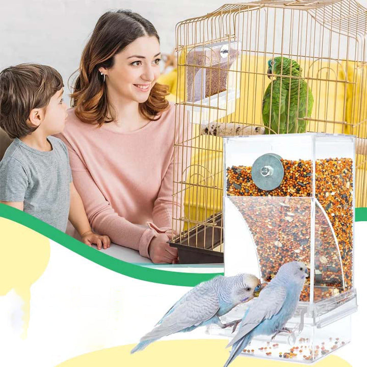 Lisslune | Automatic transparent bird feeder without spills