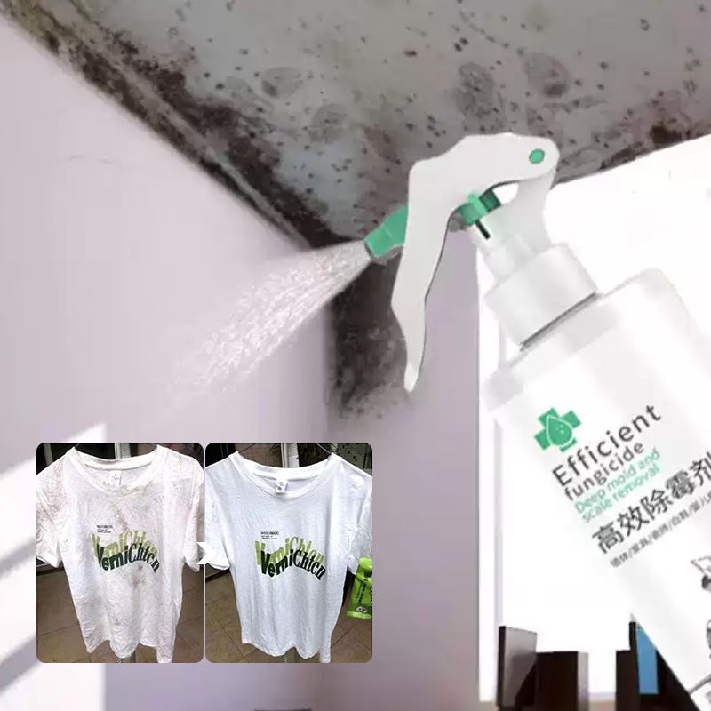 Lisslune | High-Efficiency Mold Remover