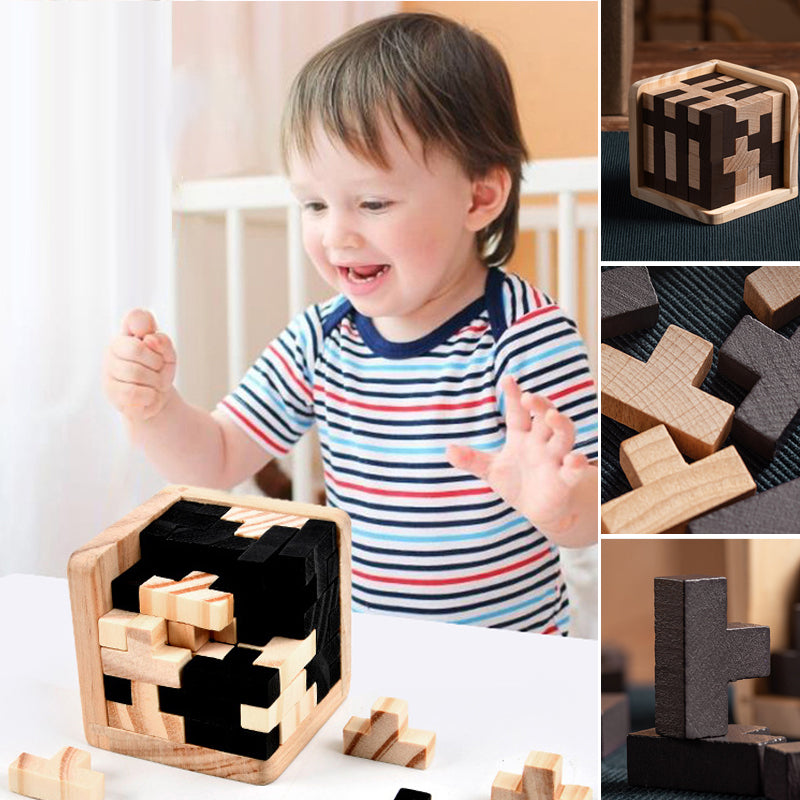Lisslune | Wood intelligence toy brain teaser game
