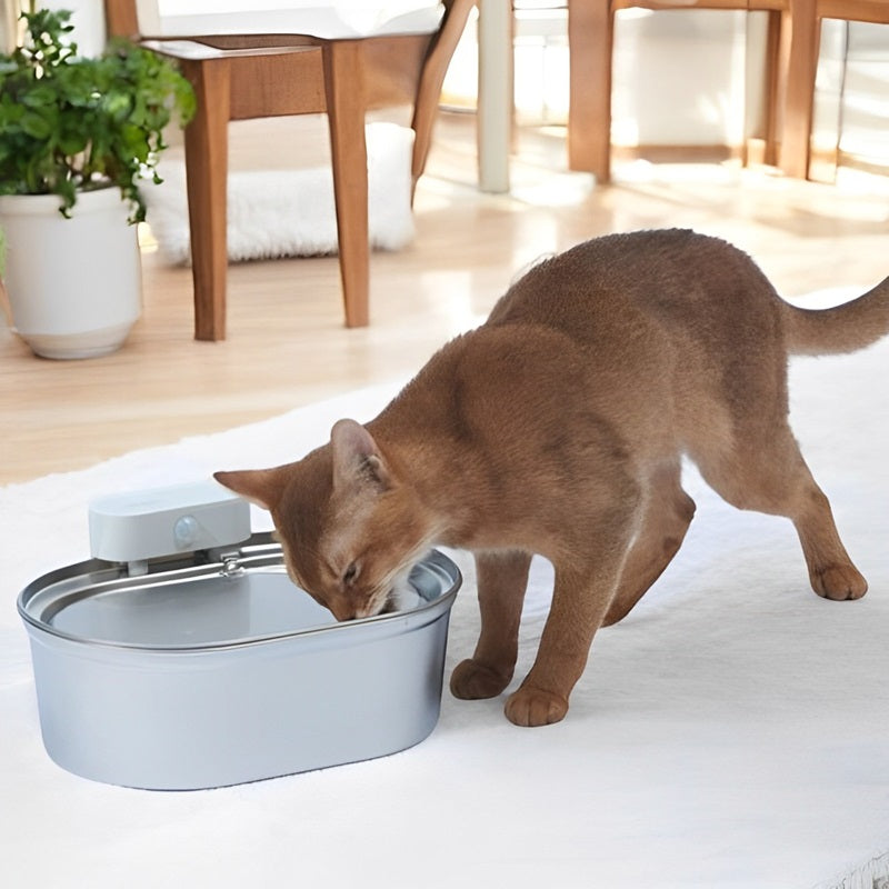 Lisslune | Wireless Automatic Pet Water Fountain
