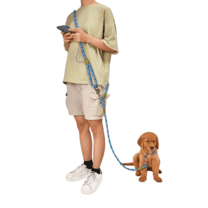 Lisslune | FREEDOMLEAS – Hands-Free Dog Leash with Waist Belt
