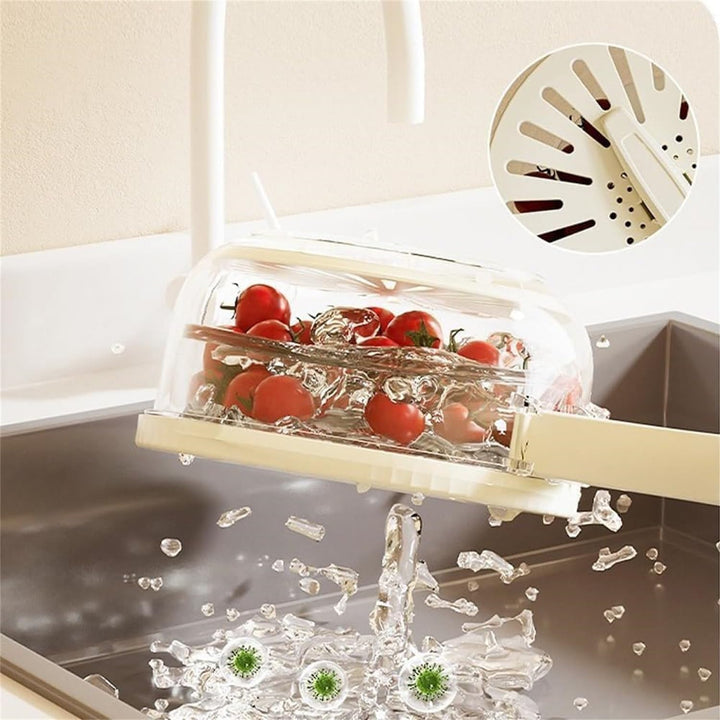 Lisslune | FreshSeal Fruit and Veggie Keeper