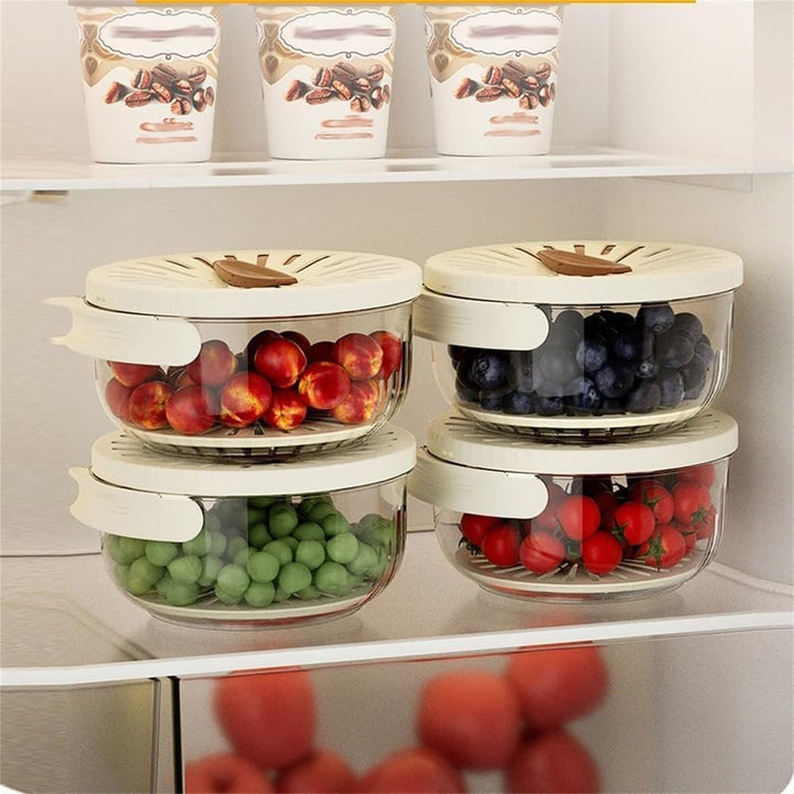 Lisslune | FreshSeal Fruit and Veggie Keeper