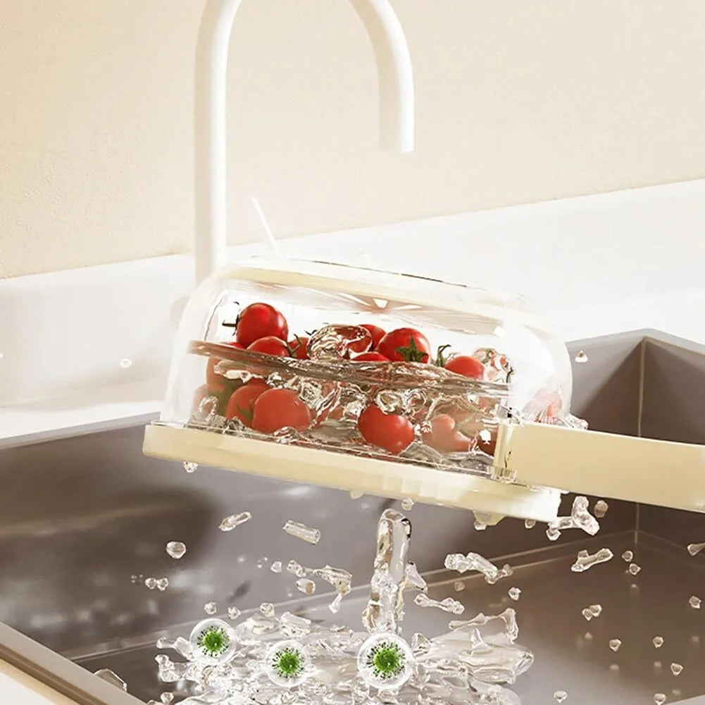 Lisslune | FreshSeal Fruit and Veggie Keeper