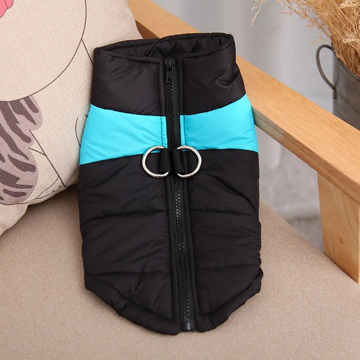 Lisslune | FrostPaw – Winter Jacket for Dogs with Protection and Comfort