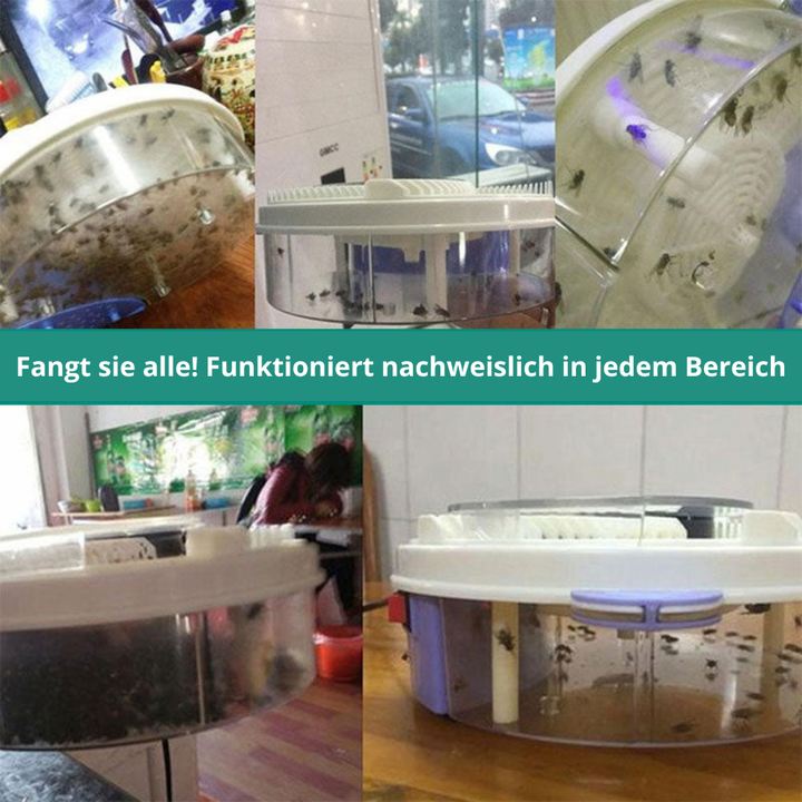Lisslune | FlyFree - The World's Best Fly Trap (Silent Fly Trap)