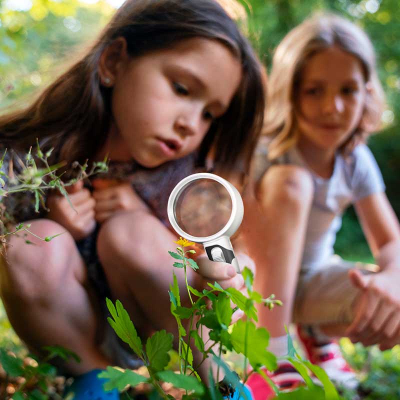 Lisslune | Optical Magnifying Glass