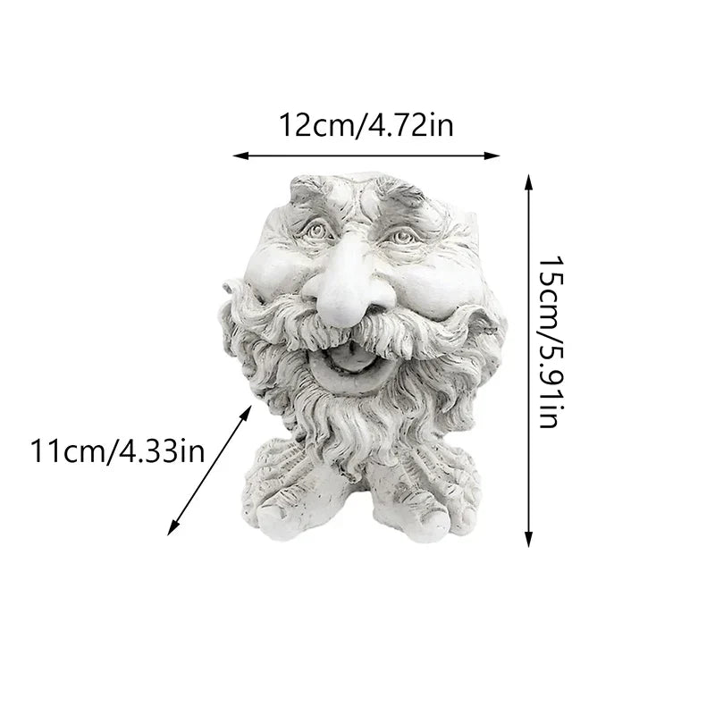 Lisslune | Funny Face Resin Succulent Planter - GigglePot