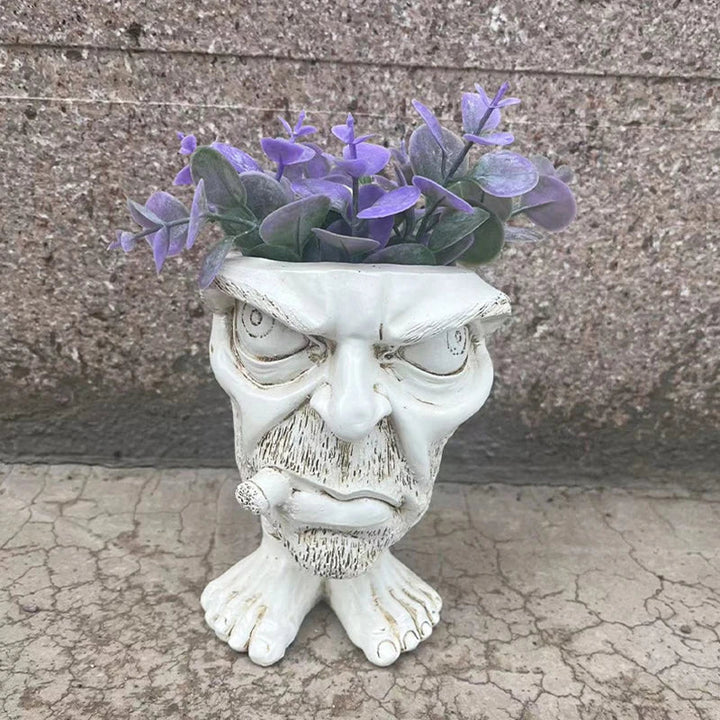 Lisslune | Funny Face Resin Succulent Planter - GigglePot