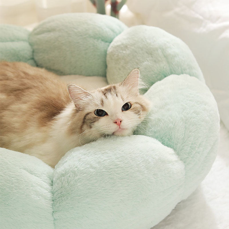 Lisslune | Deep Sleep Flower Shape Cat Bed
