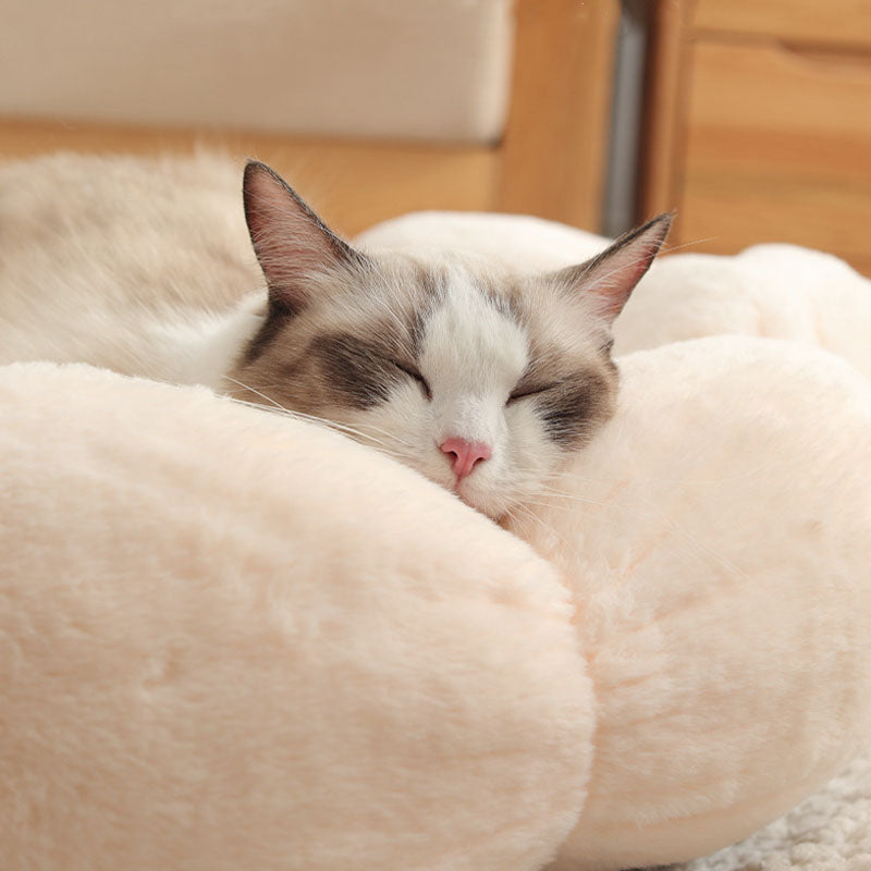 Lisslune | Deep Sleep Flower Shape Cat Bed