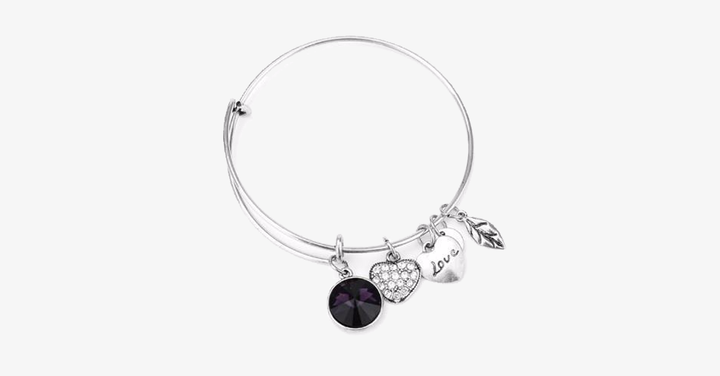 Lisslune | February Birthstone Charm Bracelet