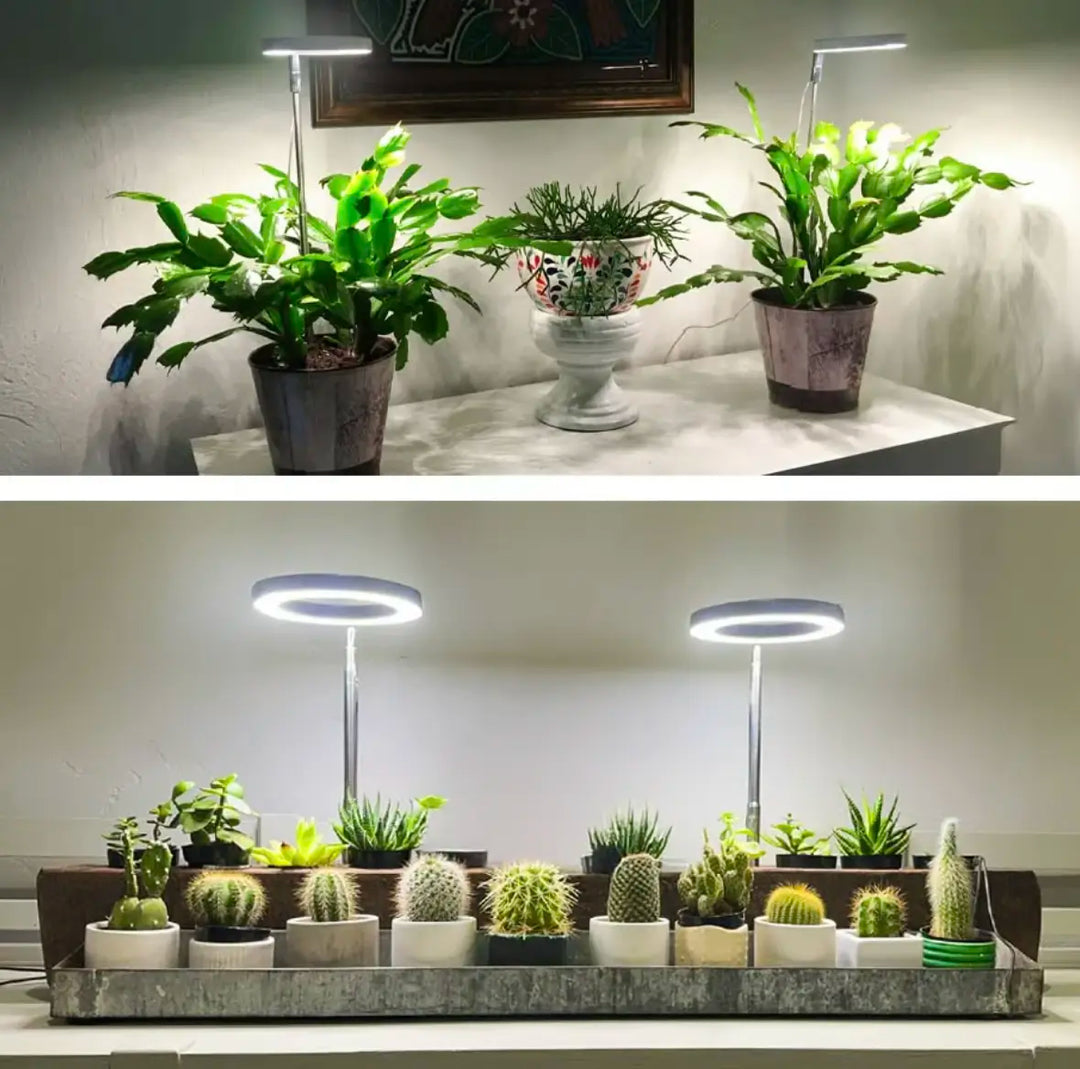 Lisslune | Plant lamp with full spectrum and adjustable stand