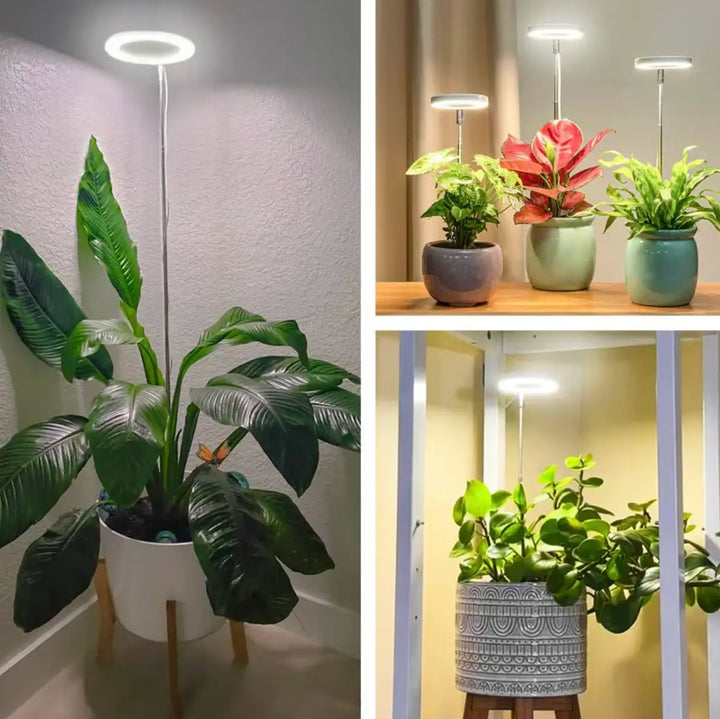 Lisslune | Plant lamp with full spectrum and adjustable stand