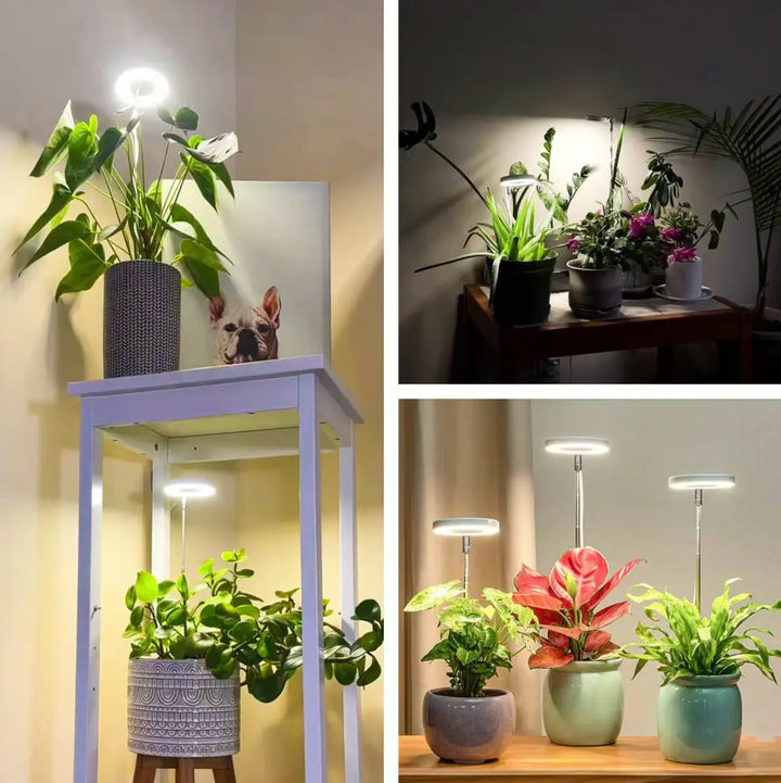 Lisslune | Plant lamp with full spectrum and adjustable stand