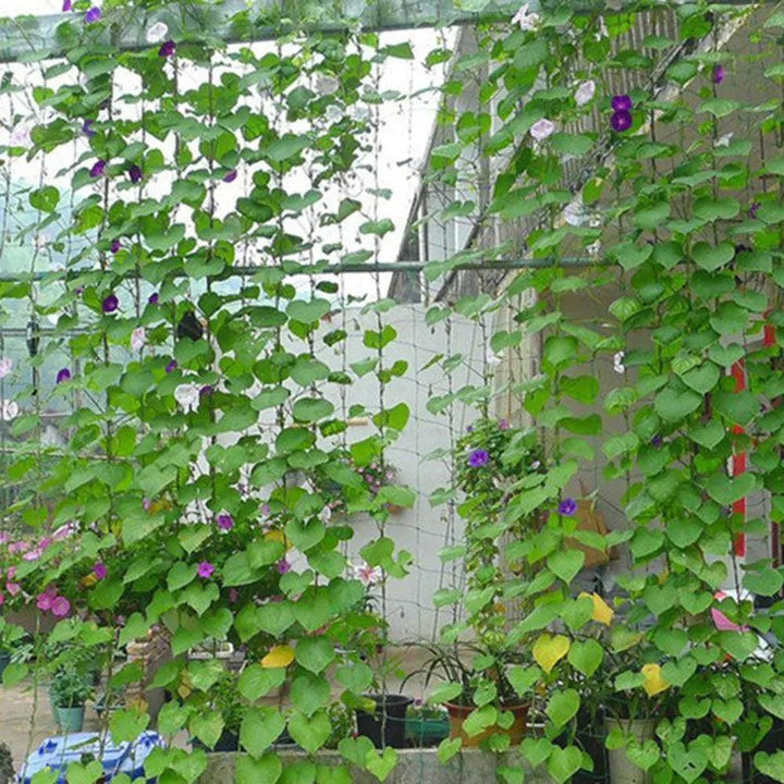 Lisslune | Nylon Garden Climbing Net: Support for Vegetables and Vines to Stimulate Growth