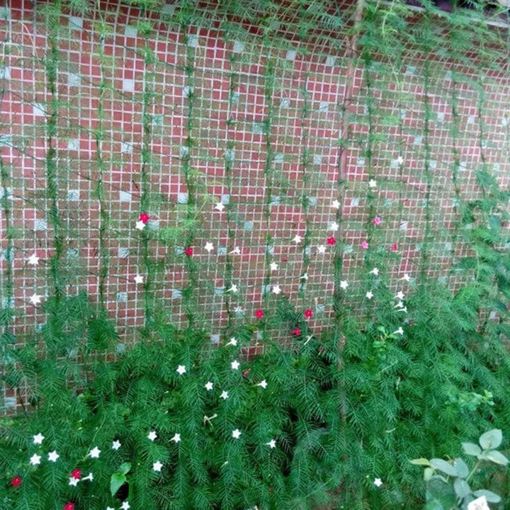 Lisslune | Nylon Garden Climbing Net: Support for Vegetables and Vines to Stimulate Growth