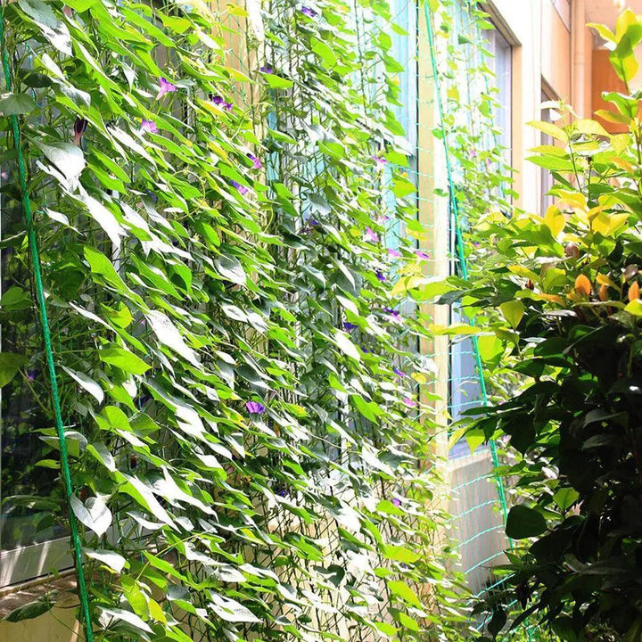 Lisslune | Nylon Garden Climbing Net: Support for Vegetables and Vines to Stimulate Growth