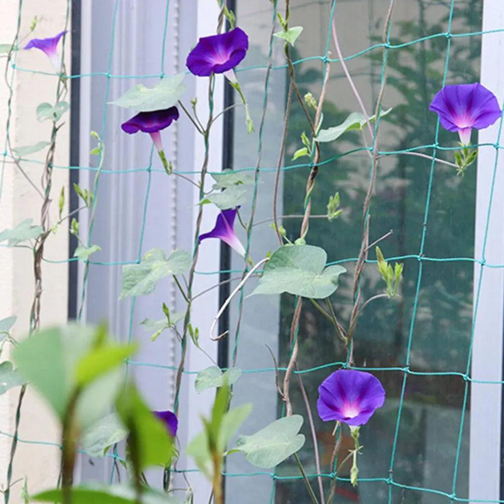 Lisslune | Nylon Garden Climbing Net: Support for Vegetables and Vines to Stimulate Growth
