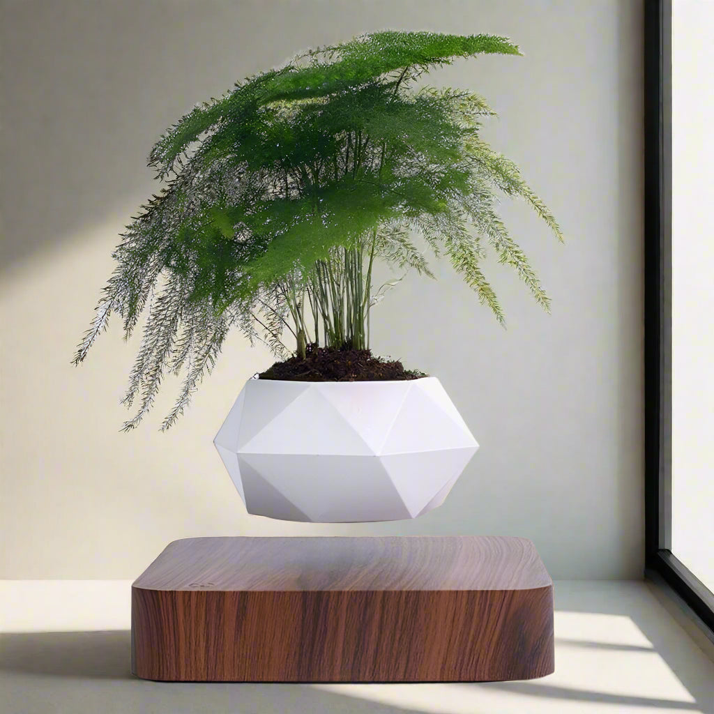 Lisslune | Magnetic Levitating Flower Pot with LED Light - Floating Planter for Home Decor & Unique Gifts