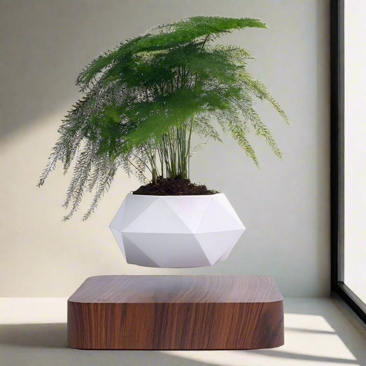 Lisslune | Magnetic Levitating Flower Pot with LED Light - Floating Planter for Home Decor & Unique Gifts