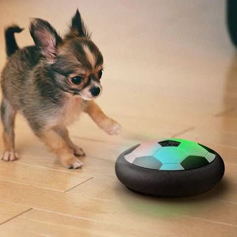 Lisslune | PLAYBALL PRO – Interactive play ball with unpredictable movement for active dogs