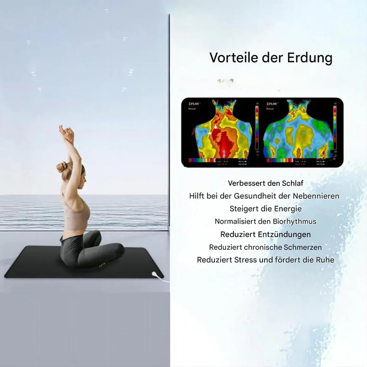 Lisslune | Grounding mat made of carbon leather for electronic devices and health