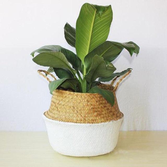 Lisslune | Sustainable Bamboo Fiber Baskets: Elegant Organization for Modern Living