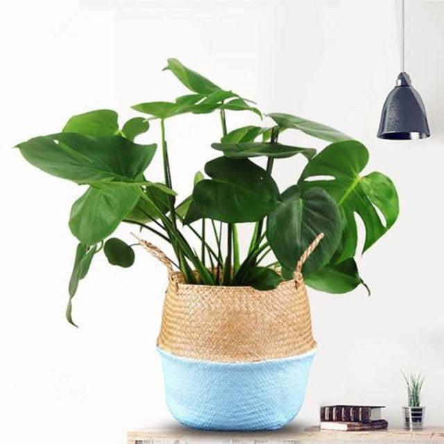 Lisslune | Sustainable Bamboo Fiber Baskets: Elegant Organization for Modern Living