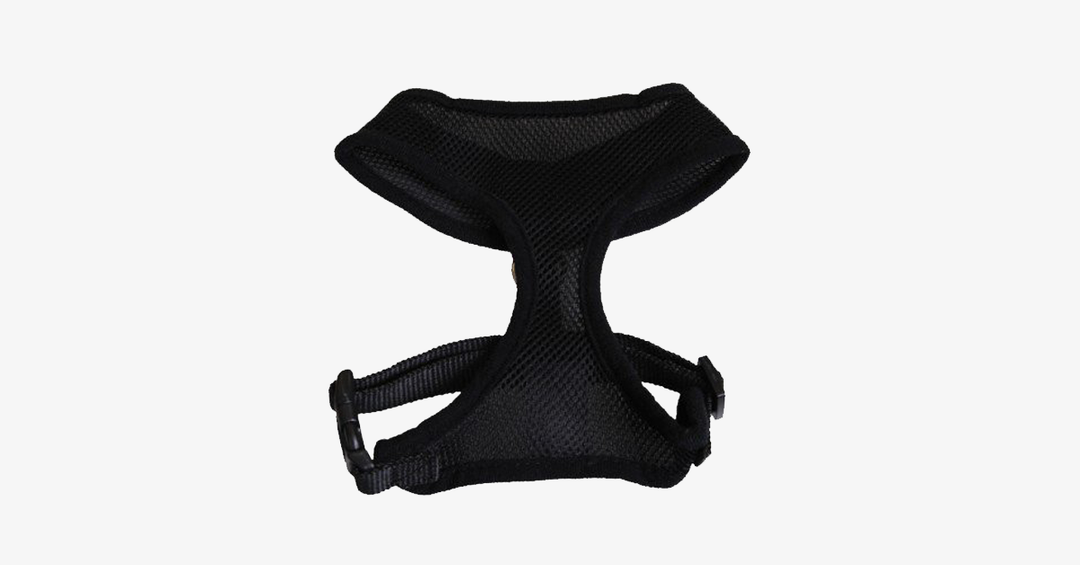 Lisslune | Comfort Control Dog Harnesses