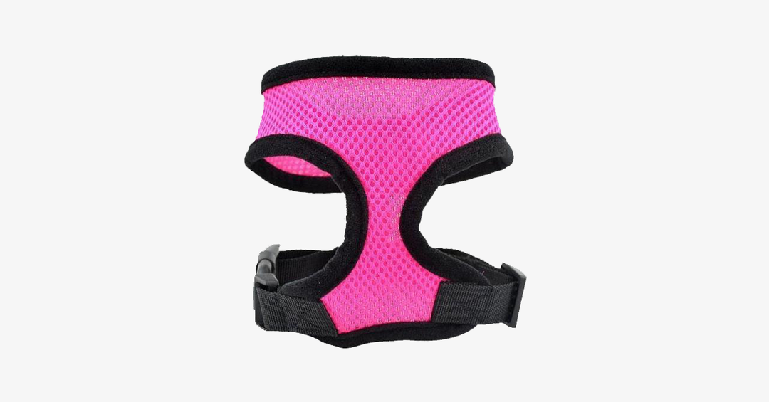 Lisslune | Comfort Control Dog Harnesses