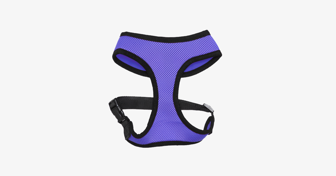 Lisslune | Comfort Control Dog Harnesses