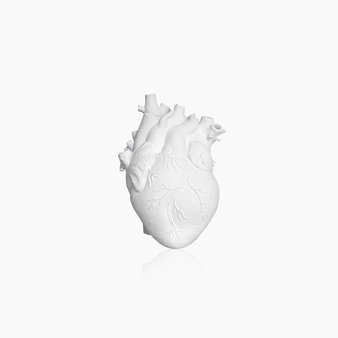 Lisslune | Heart Dry Plants Artificial Vase