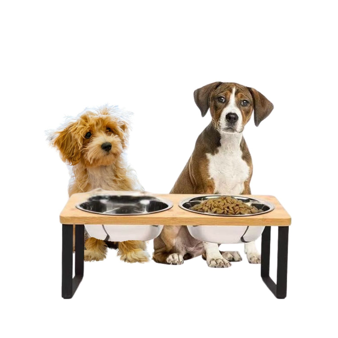 Lisslune | Elevated Dog Food Bowl – Bamboo Stand with Removable Stainless Steel Bowls