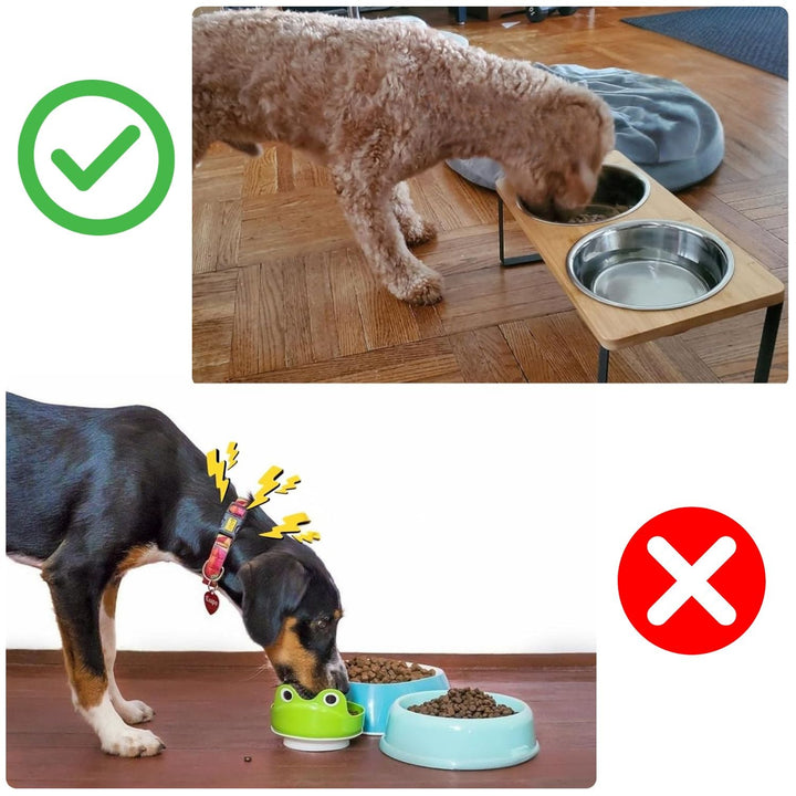 Lisslune | Elevated Dog Food Bowl – Bamboo Stand with Removable Stainless Steel Bowls