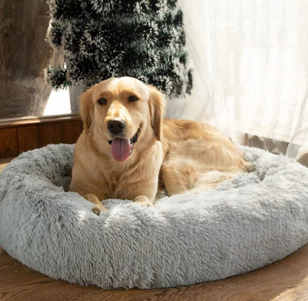 Lisslune | Milowa Soft Orthopedic Pet Bed for Cats and Dogs