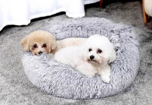 Lisslune | Milowa Soft Orthopedic Pet Bed for Cats and Dogs
