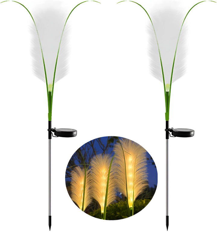 Lisslune | EcoGlo – Sustainable Solar Reed Lamp