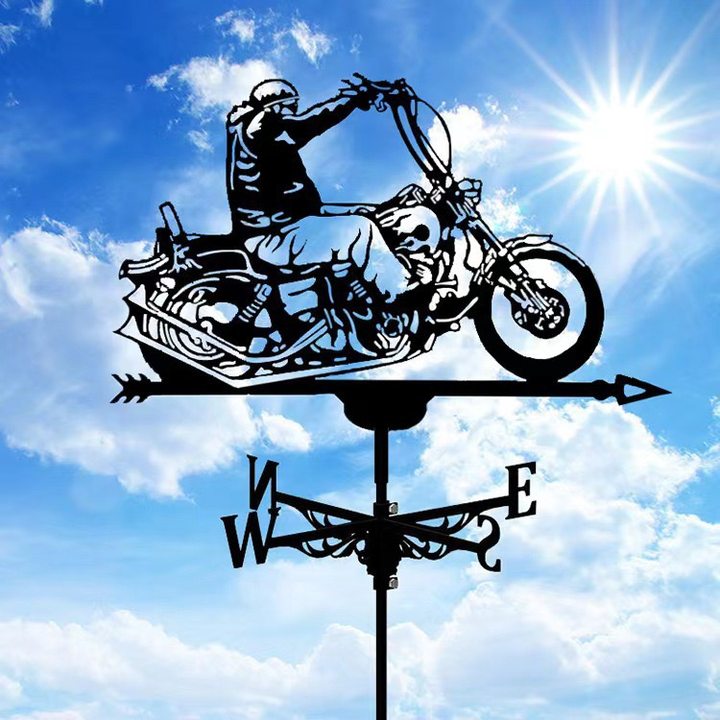 Lisslune | Stainless Steel Weather Vane!