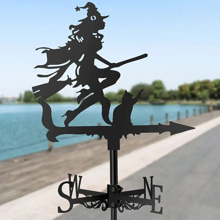 Lisslune | Stainless Steel Weather Vane!